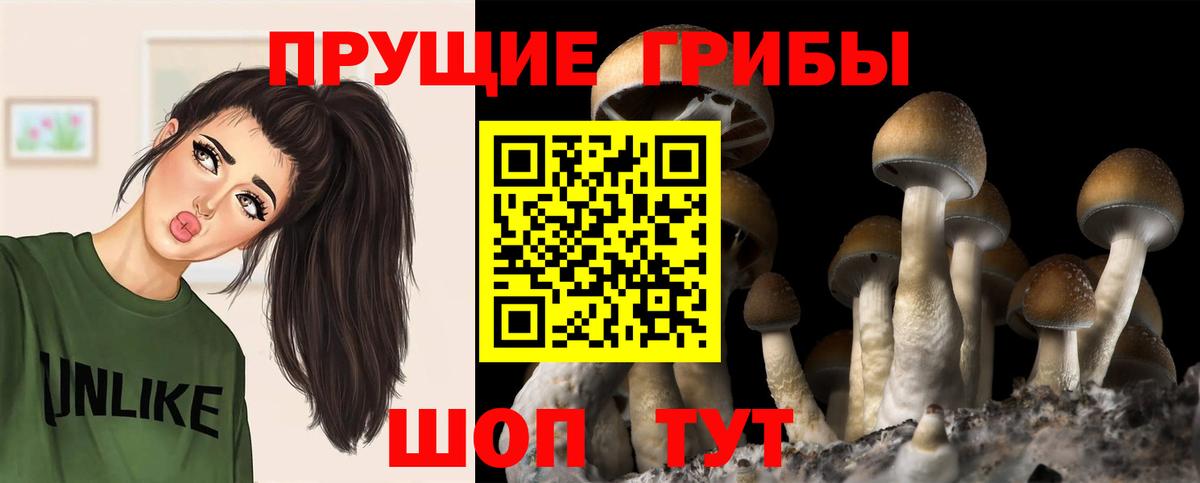 Псилоцибиновые грибы мухоморы  Вход с VPN  купить  сайты  Полысаево 
